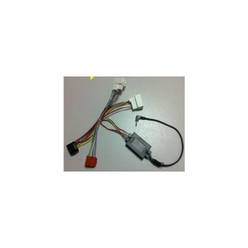 Pioneer CA-R-HYU.001